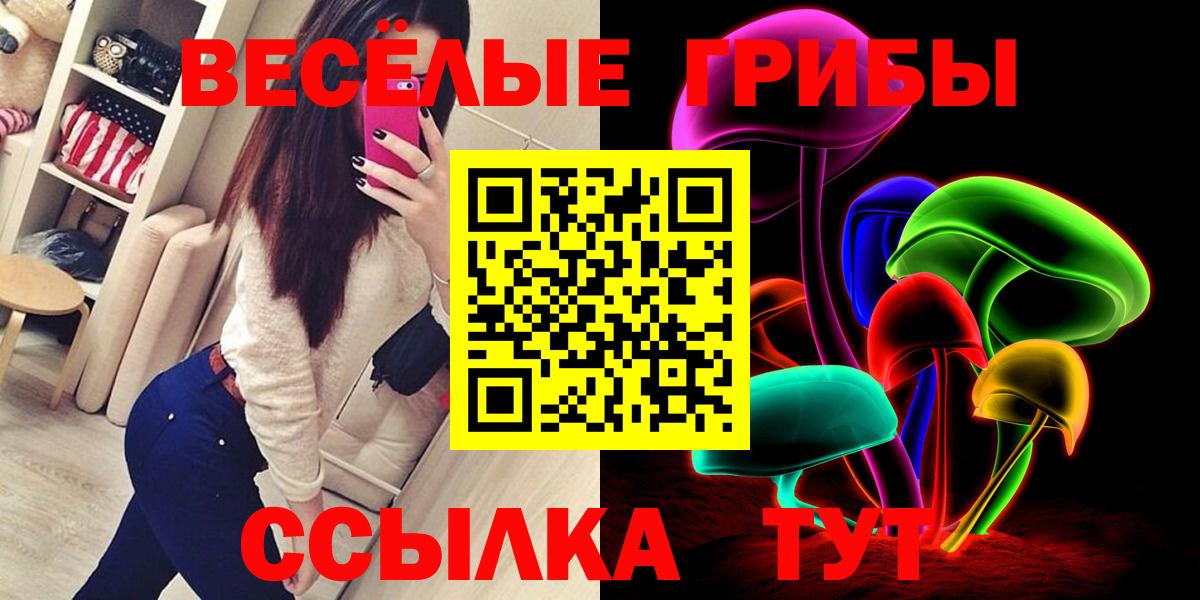 Псилоцибиновые грибы MAGIC MUSHROOMS  хочу наркоту  Истра  Вход с VPN  Псилоцибиновые грибы MAGIC MUSHROOMS 